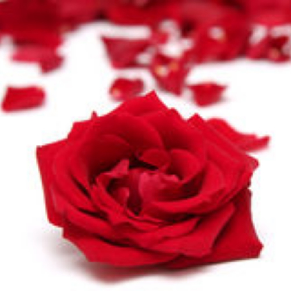 Meet your Posher, Davisil